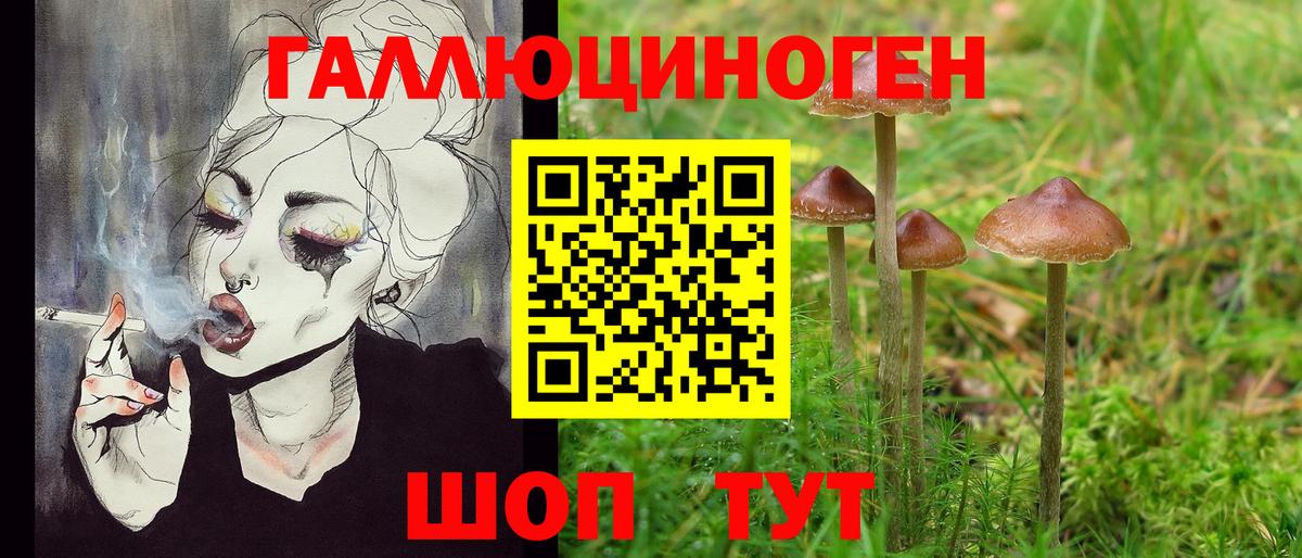 Гулькевичи  Галлюциногенные грибы прущие грибы  Вход с VPN  Псилоцибиновые грибы мухоморы 